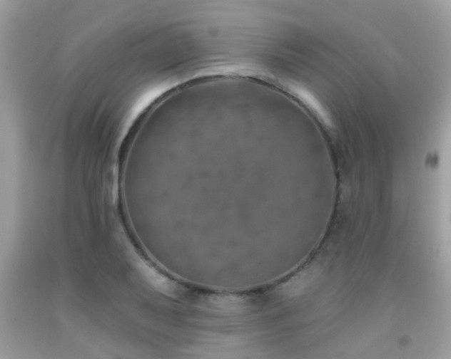 X0000092031079200709061609