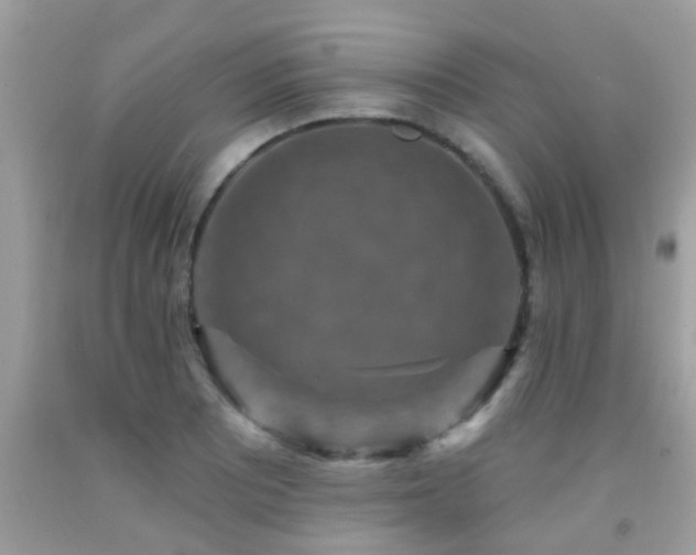 X0000092031081200709061609