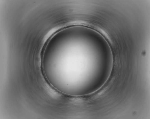 X0000092031082200709061609