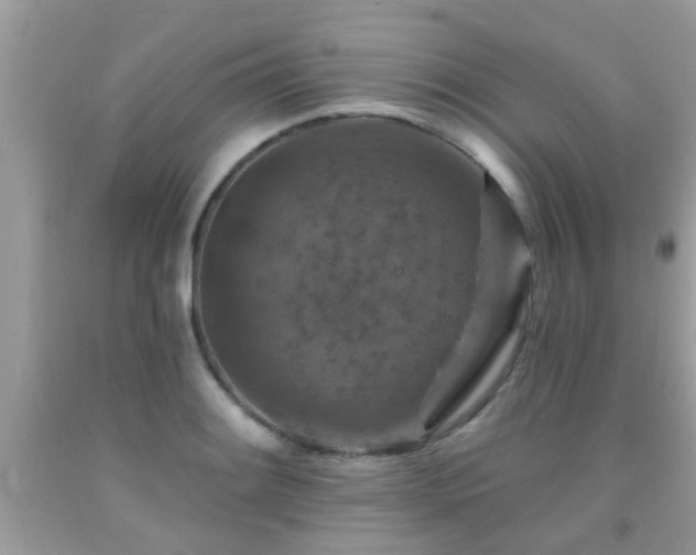 X0000092031084200709061609