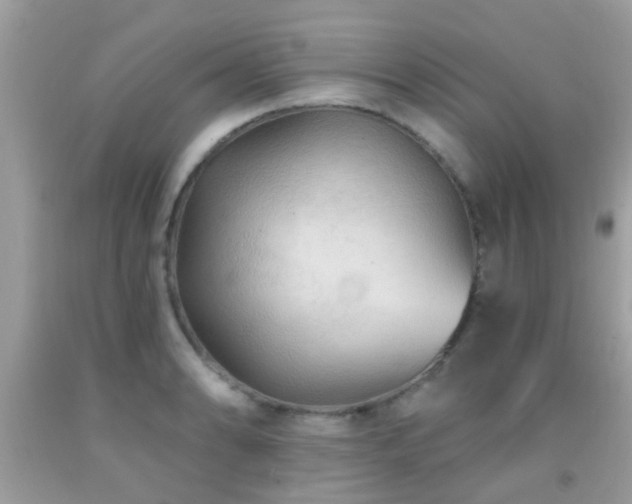 X0000092031086200709061609