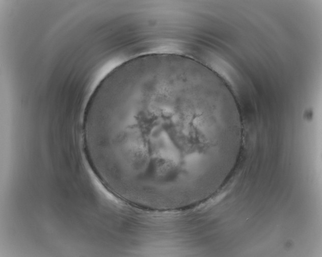 X0000092031087200709061609