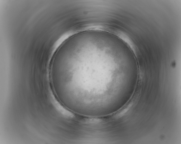 X0000092031090200709061609
