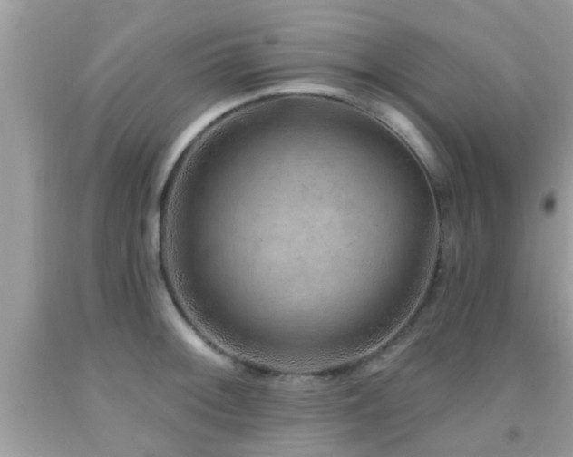 X0000092031092200709061609