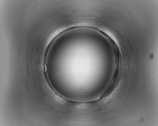 X0000092031093200709061609