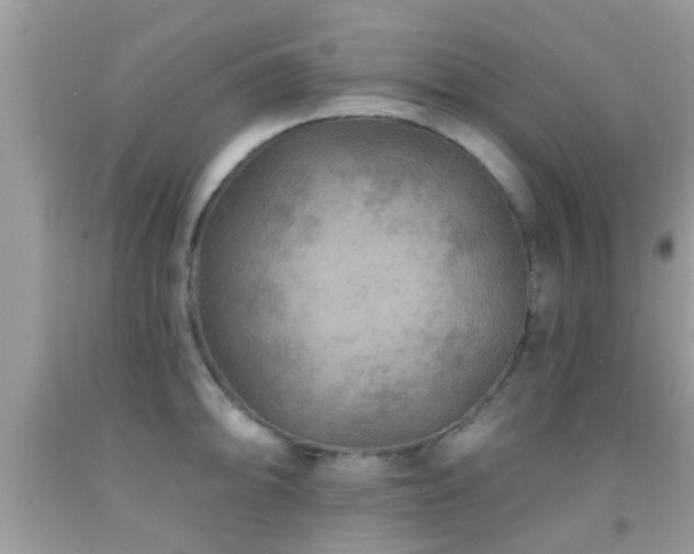 X0000092031094200709061609