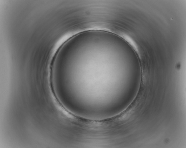 X0000092031096200709061609