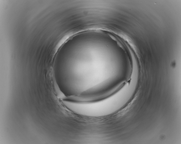 X0000092031097200709061609
