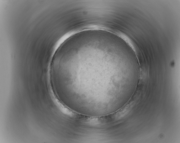 X0000092031098200709061609