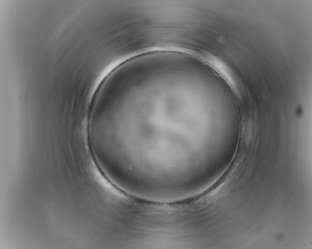 X0000092031100200709061609
