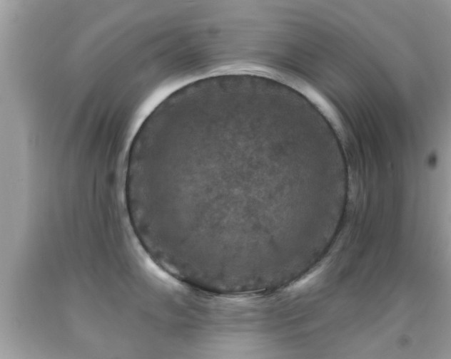 X0000092031102200709061609