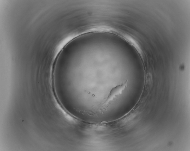 X0000092031103200709061609