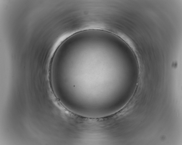 X0000092031104200709061609