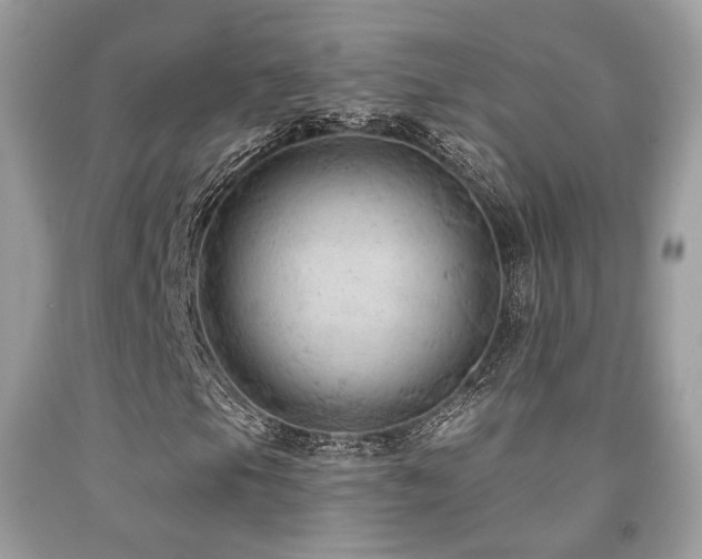 X0000092031105200709061608
