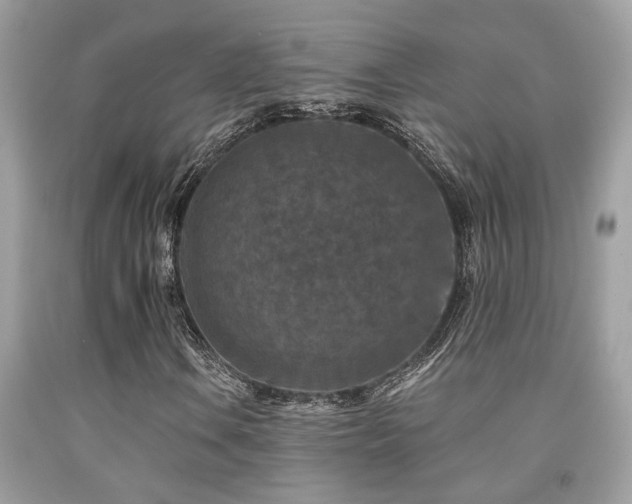 X0000092031106200709061608