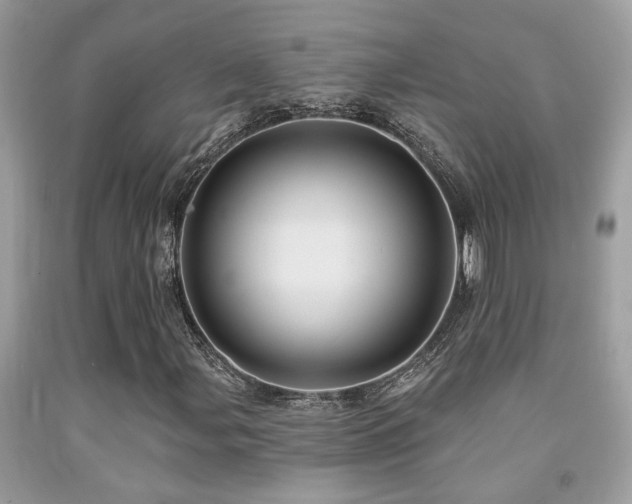 X0000092031107200709061608