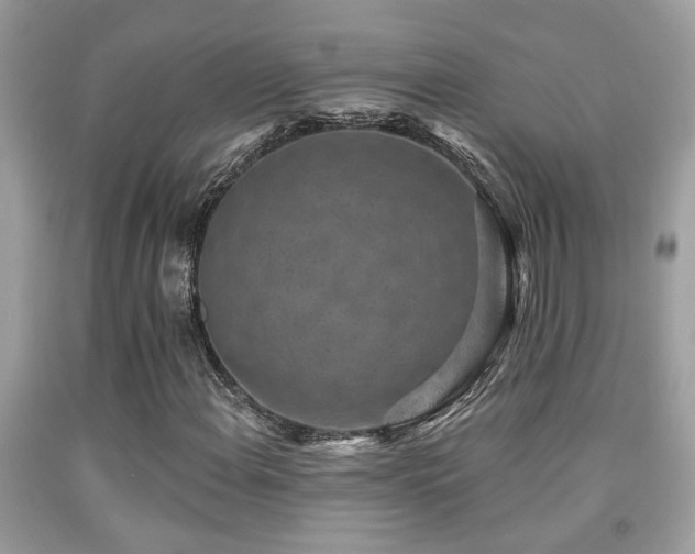 X0000092031108200709061608