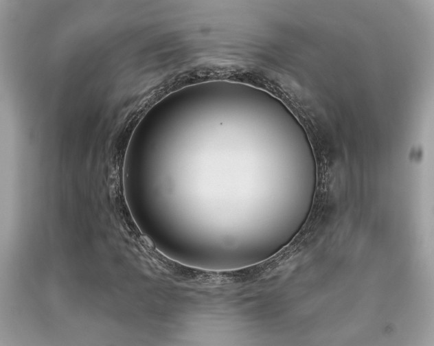 X0000092031109200709061608