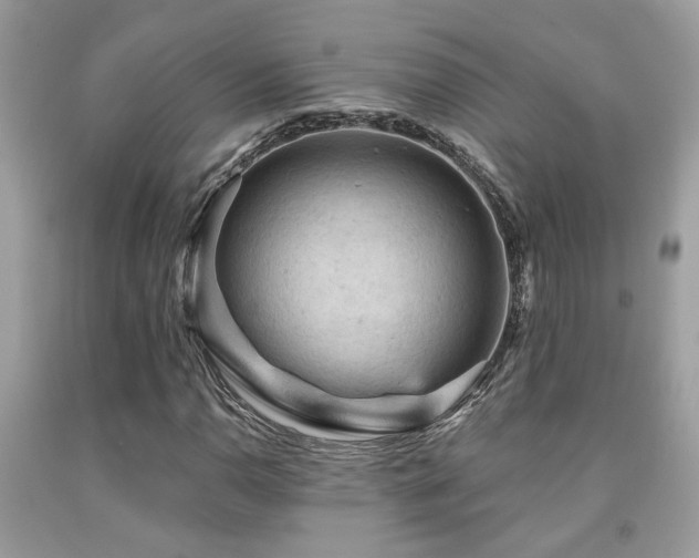 X0000092031110200709061608