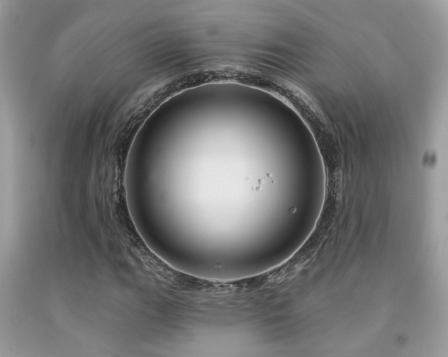 X0000092031111200709061608