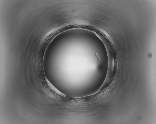 X0000092031112200709061608