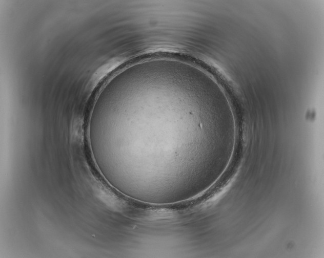 X0000092031113200709061608