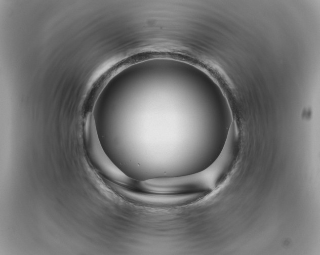 X0000092031114200709061608
