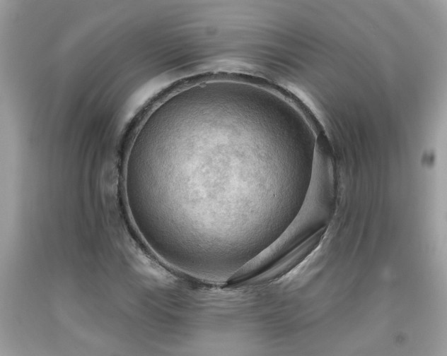 X0000092031115200709061609