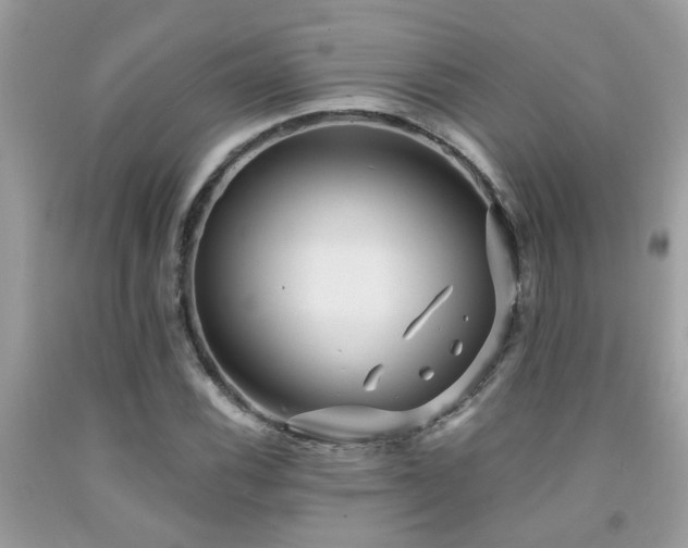 X0000092031116200709061609