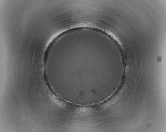 X0000092031117200709061609