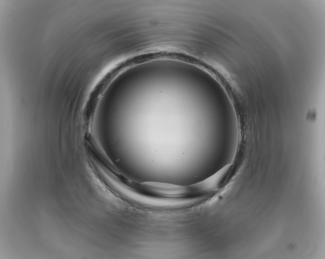 X0000092031118200709061609