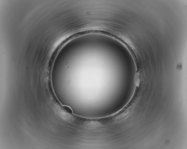 X0000092031119200709061609