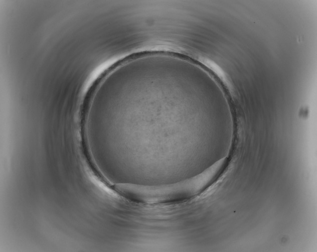X0000092031120200709061609