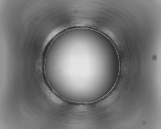 X0000092031122200709061609