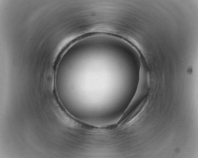 X0000092031123200709061609