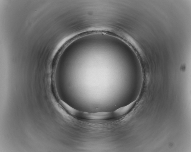 X0000092031124200709061609