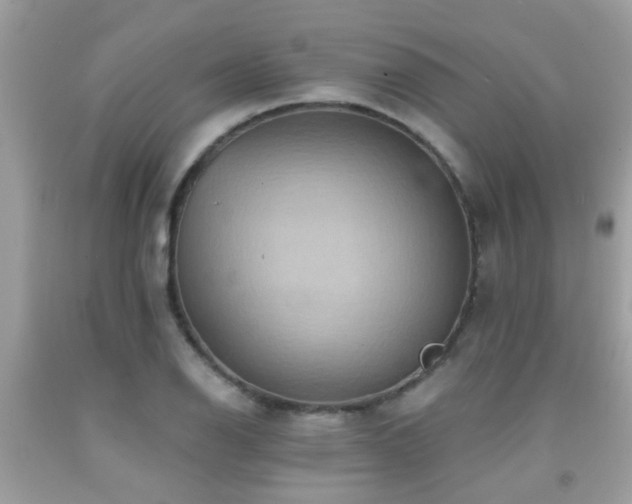 X0000092031126200709061609