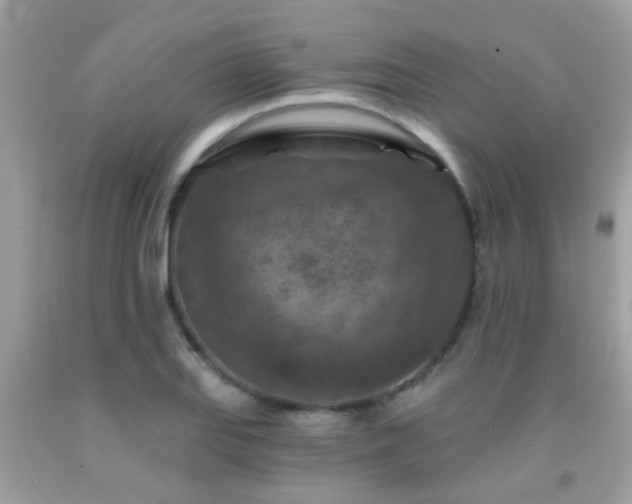 X0000092031127200709061609