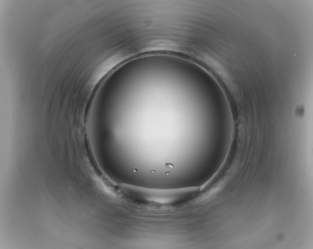 X0000092031129200709061609