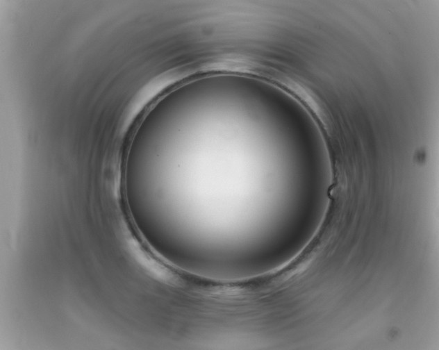 X0000092031131200709061609
