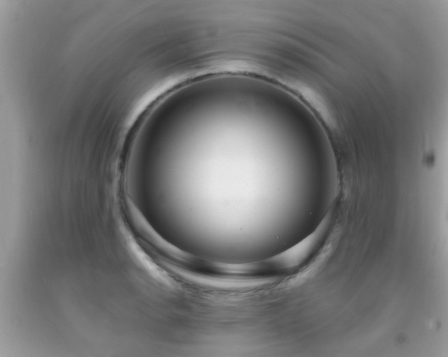 X0000092031134200709061609
