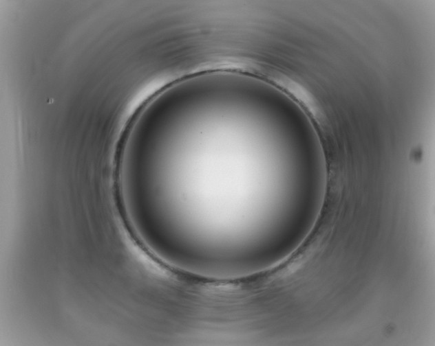 X0000092031135200709061609