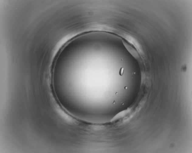 X0000092031136200709061609