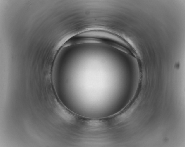 X0000092031137200709061609