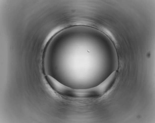 X0000092031138200709061609