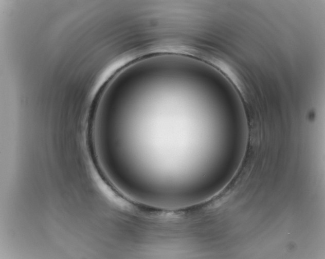 X0000092031139200709061609