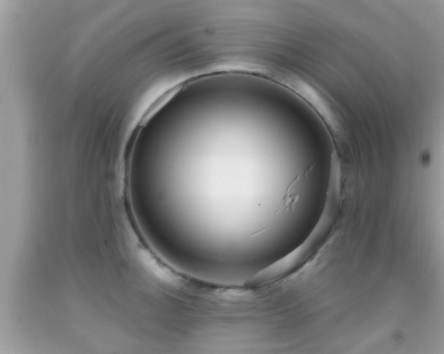 X0000092031140200709061609