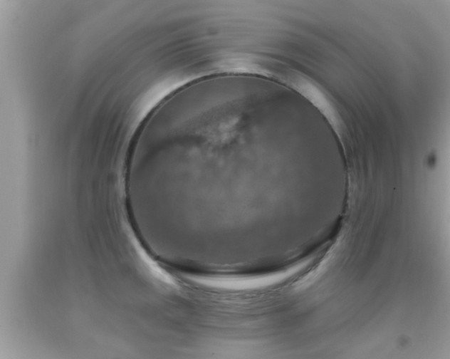 X0000092031141200709061609