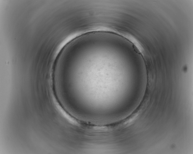 X0000092031142200709061609