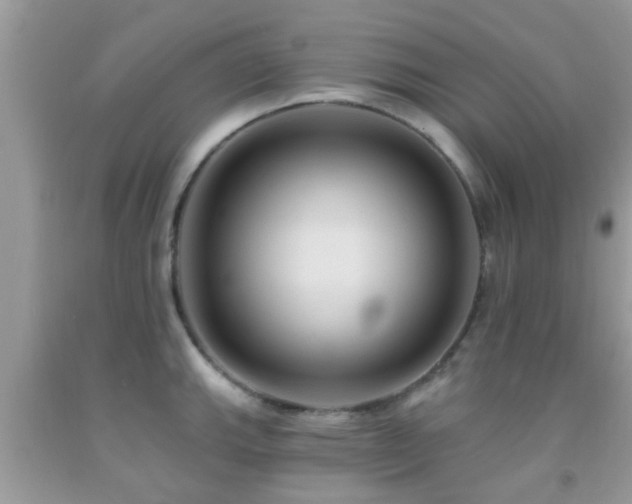 X0000092031143200709061609